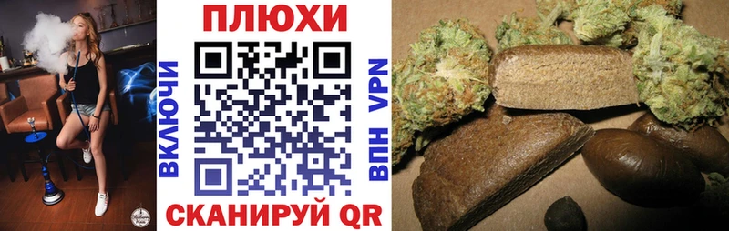 Купить  Каргат  Гашиш AMNESIA HAZE 