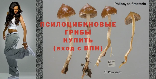 молекула духа Гусь-Хрустальный