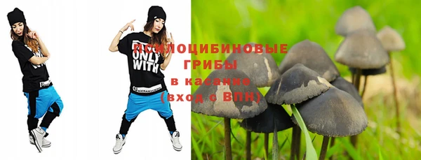 дмт Гусиноозёрск