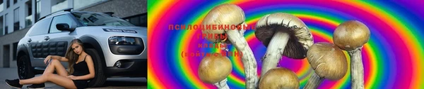 дмт Гусиноозёрск