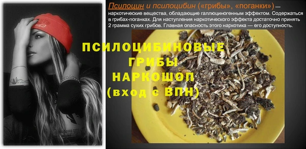 молекула духа Гусь-Хрустальный