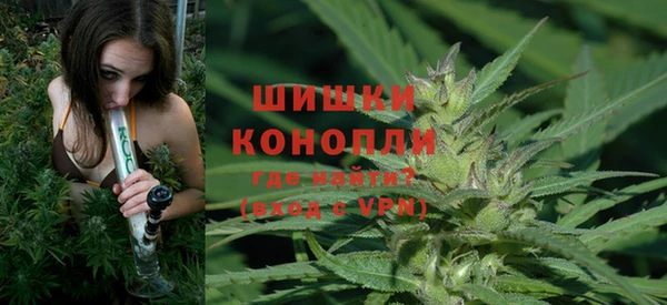 прущие крисы Гусев