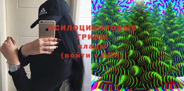 прущие крисы Гусев