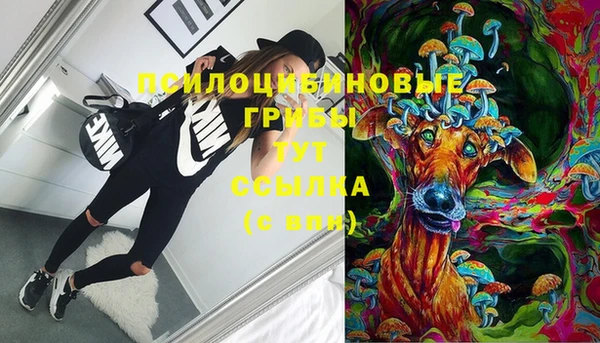 прущие крисы Гусев