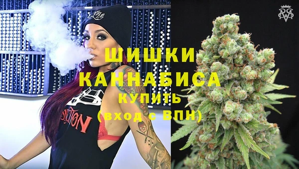 прущие крисы Гусев