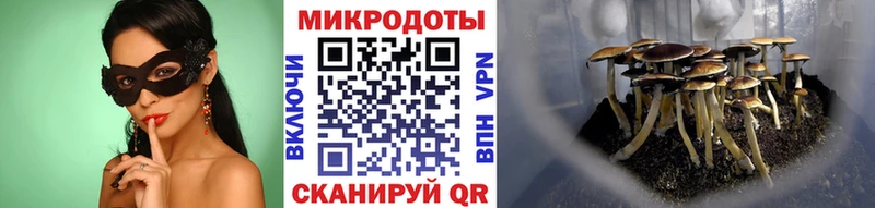 Купить закладки  Каргат  Псилоцибиновые грибы GOLDEN TEACHER 